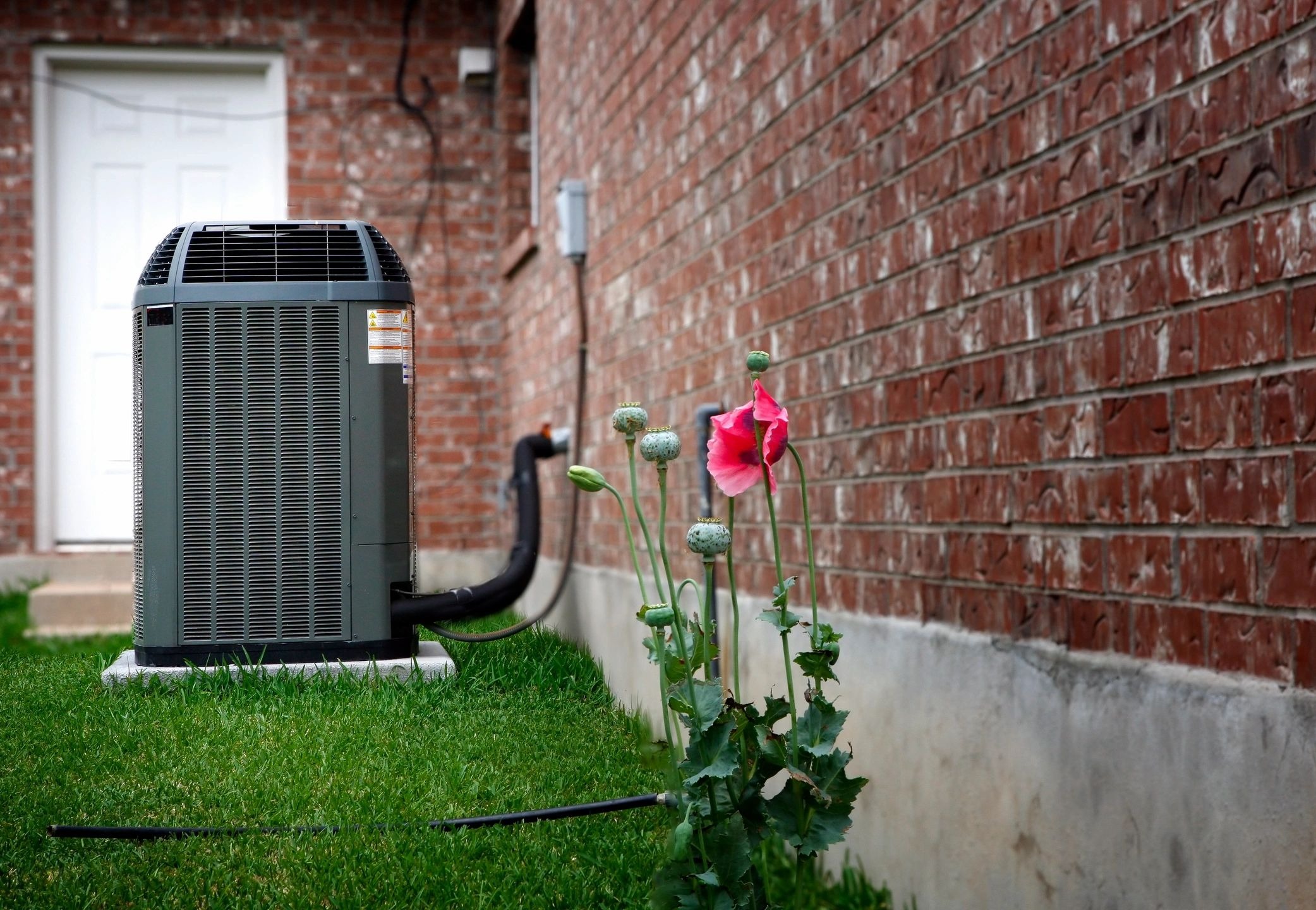 A red flower in the grass next to an air conditioner.