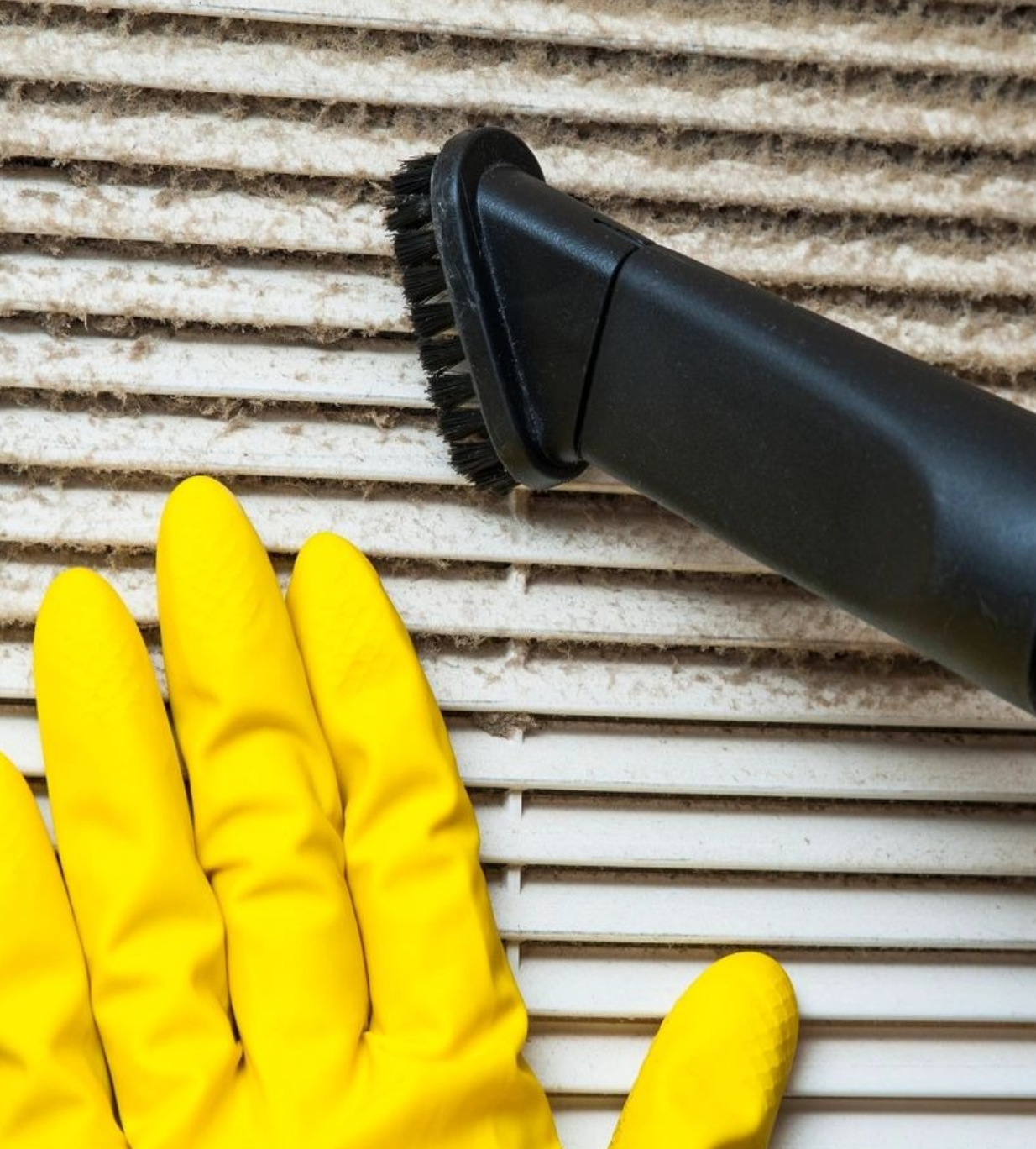 A pair of yellow gloves and a black brush.